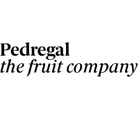 empresas constructoras pedregal